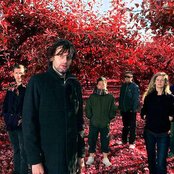 Blue Foundation - List pictures