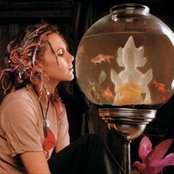 Sheila Nicholls - List pictures