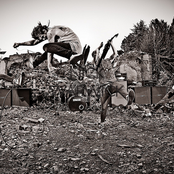 While She Sleeps - List pictures