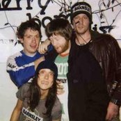 The Whip - List pictures