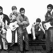 The Equals - List pictures