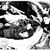 Pale Saints - List pictures