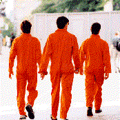 Trans Am - List pictures