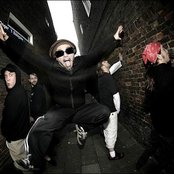 Jaya The Cat - List pictures