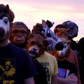 The Sound Of Animals Fighting - List pictures