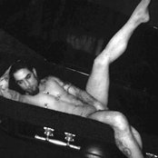 Dave Navarro - List pictures