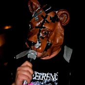 The Bunny The Bear - List pictures