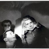 The Wolfgang Press - List pictures