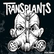 Transplants - List pictures