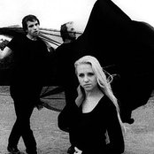 Artrosis - List pictures