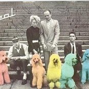 Ideal - List pictures