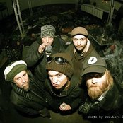 Jaya The Cat - List pictures