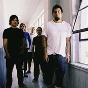 Team Sleep - List pictures