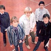 Easybeats - List pictures