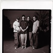 Project 86 - List pictures