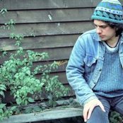 Locust - List pictures