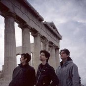 Shellac - List pictures