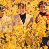 Tommy James And The Shondells - List pictures