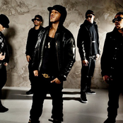 Brutha - List pictures