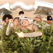 Kottonmouth Kings - List pictures