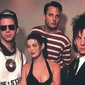 Information Society - List pictures