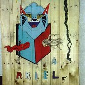 Ariel Pink's Haunted Grafitti - List pictures