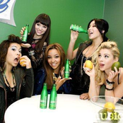 The Stunners - List pictures