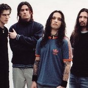 Ektomorf - List pictures