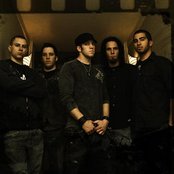 Digital Summer - List pictures