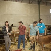 Pony Bravo - List pictures