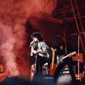 Krokus - List pictures