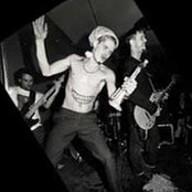 The Cows - List pictures