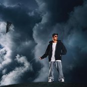 Cheek - List pictures