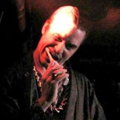 Lovage - List pictures