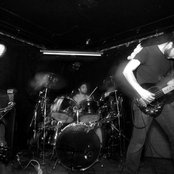 Pelican - List pictures