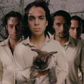 Arkarna - List pictures