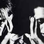 Dalis Car - List pictures