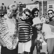 Too Much Joy - List pictures