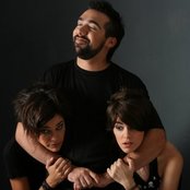 Eruca Sativa - List pictures