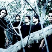 Acrimony - List pictures