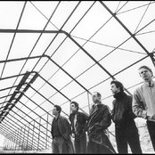 Mecano - List pictures