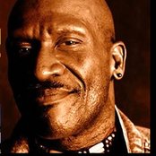 Taj Mahal - List pictures