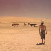 Animalia - List pictures