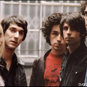 The Duke Spirit - List pictures