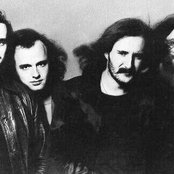 Focus - List pictures