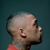 Wiley - List pictures