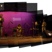 Polar Bear - List pictures