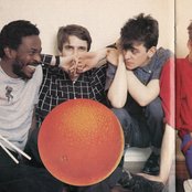 Orange Juice - List pictures