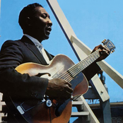 Muddy Waters - List pictures