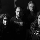 Moiré - List pictures